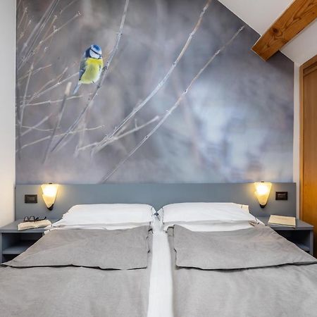 Pippo Hotel Terzolas Zewnętrze zdjęcie